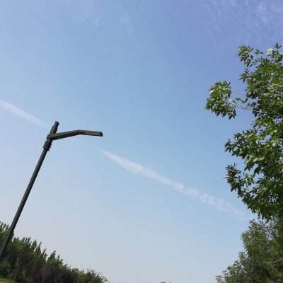 赛道之王游戏下载